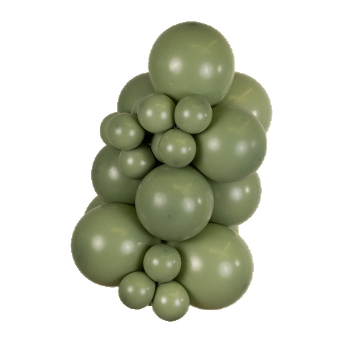 Kalisan Retro Eucalyptus latex balloons
