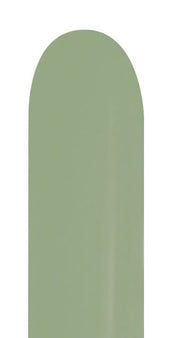 Sempertex 260B Deluxe Eucalyptus Twisting Balloons 50ct #57360