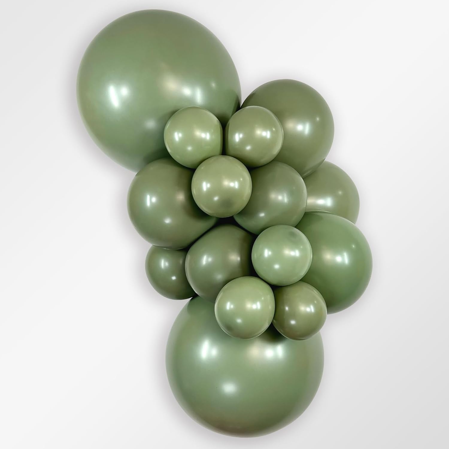 18" Sempertex Deluxe Eucalyptus Balloons 25 Bag #55360