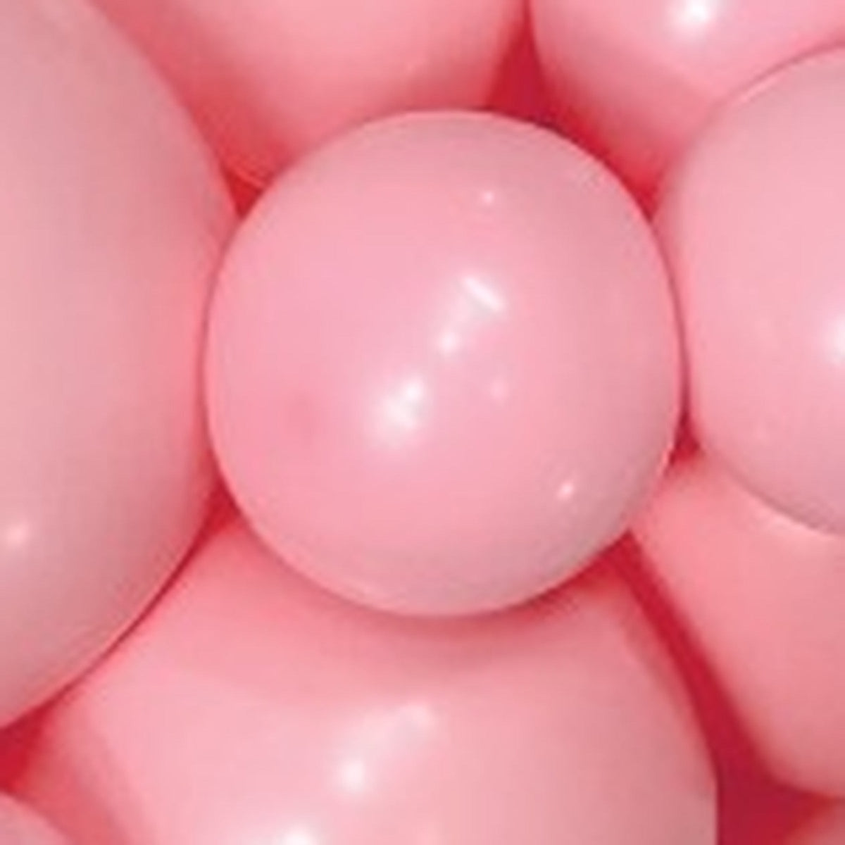 11" Sempertex Fashion Bubble Gum Pink Balloons 100 Bag #53074