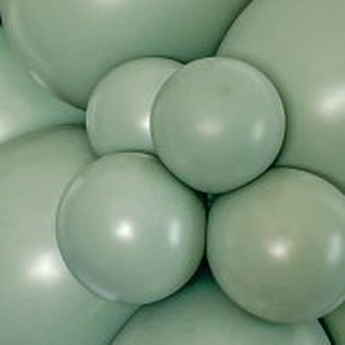 11" TUFTEX Meadow Pearl Eucalyptus Balloons 100CT #10056