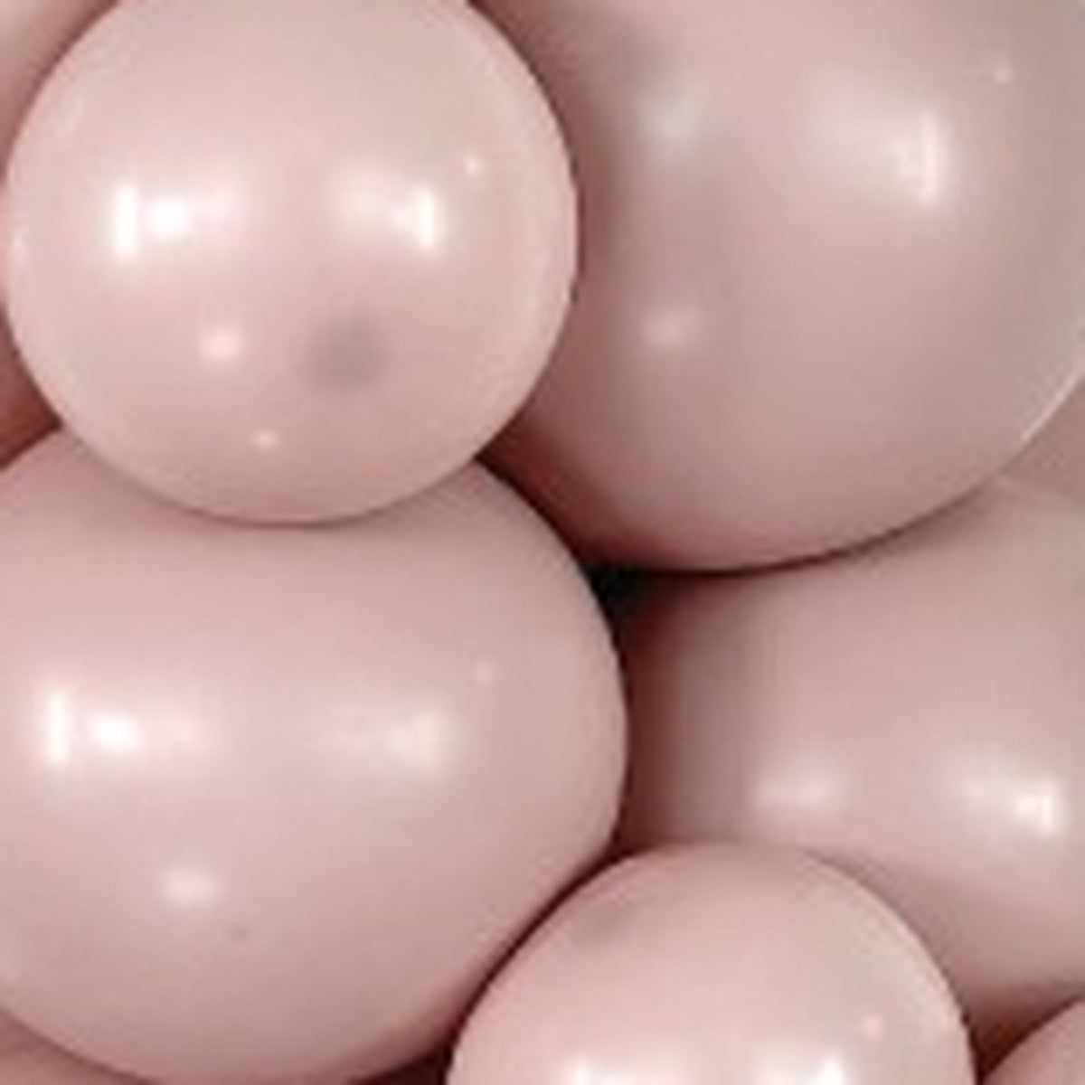 18" Sempertex Pastel Dusk Rose Balloons 25 Bag #55515