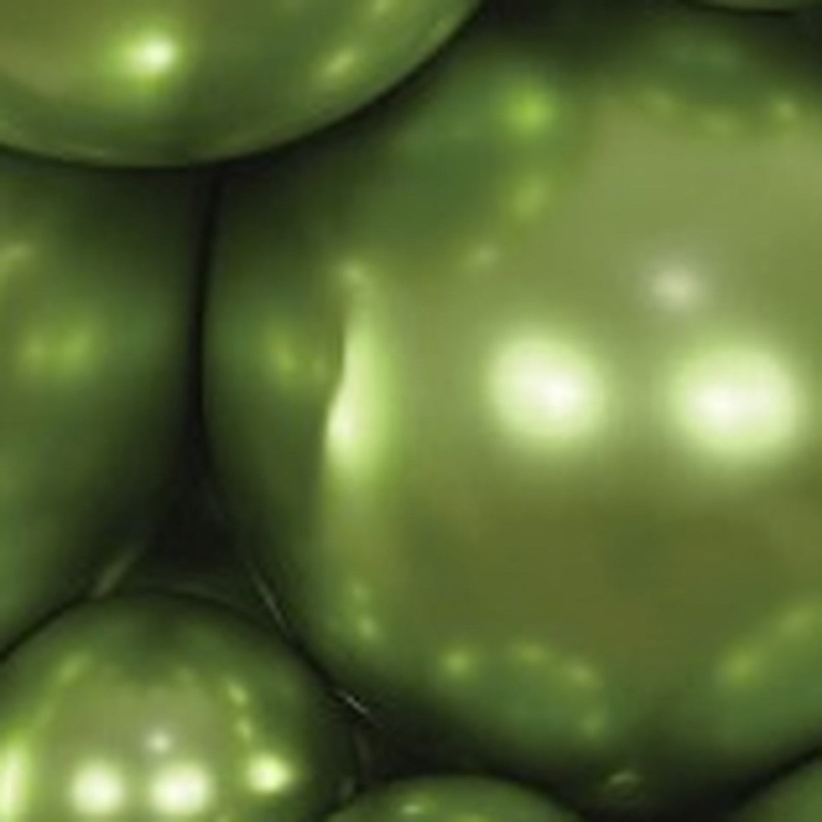 5" Sempertex Reflex Key Lime Balloons 100 Bag #51142