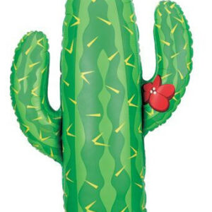 cactus balloons