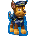 Paw Patrol Balloons