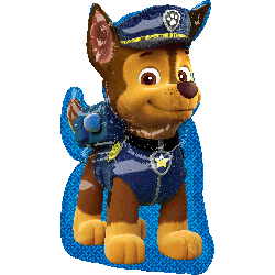 paw patrol