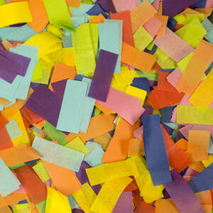 confetti multi color tissue confetti